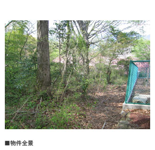 物件写真・間取・地図