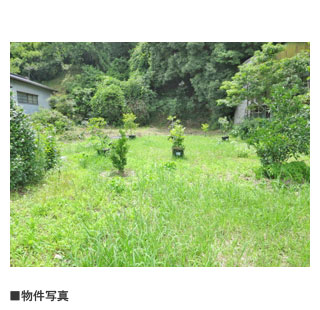 物件写真・間取・地図
