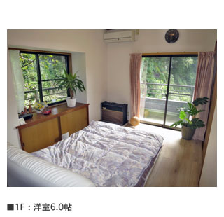 detached 大平柿木