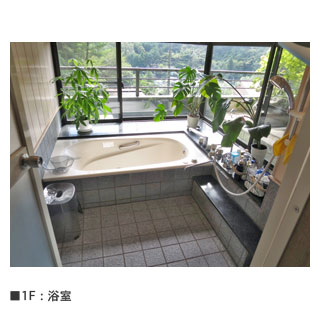 detached 大平柿木
