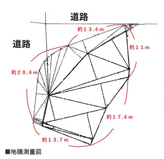 detached 大平柿木