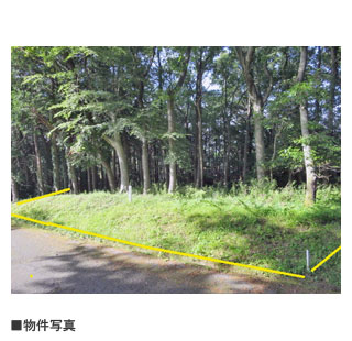 物件写真・間取・地図