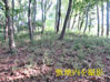 建物写真