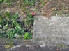建物写真