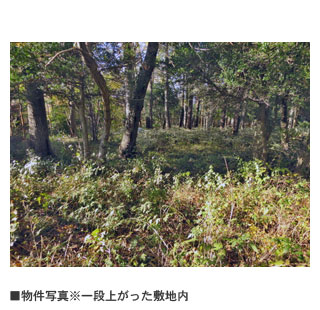 物件写真・間取・地図