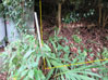建物写真