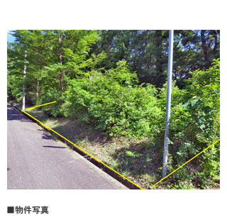 物件写真・間取・地図