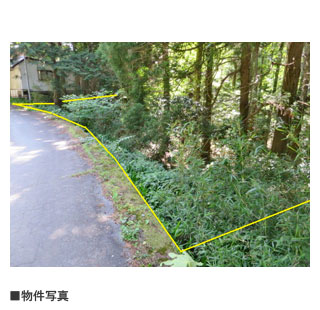 物件写真・間取・地図