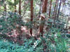 建物写真
