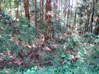 建物写真