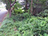 建物写真