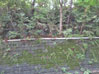 建物写真